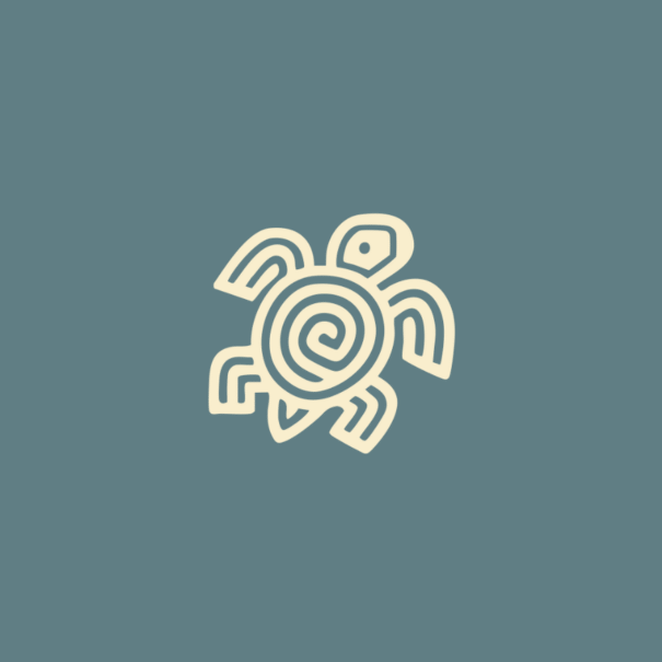 Carries home within – introspective escapes Turtle- Bannaba Stays