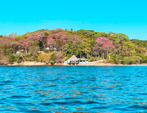 Bannaba Stays - BEACH