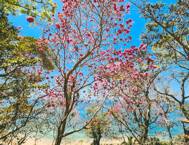 Bannaba Stays - Beach - Exclusive Stays