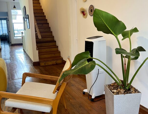 Curated living room with natural light in luxury Casco Viejo penthouse - by Bannaba Stays