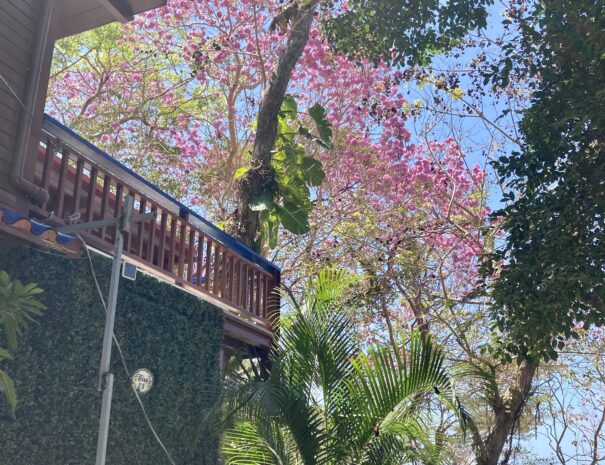 Private beachfront villa with ocean views and wraparound terrace on Saboga Island, Panama by Bannaba Stays (22)