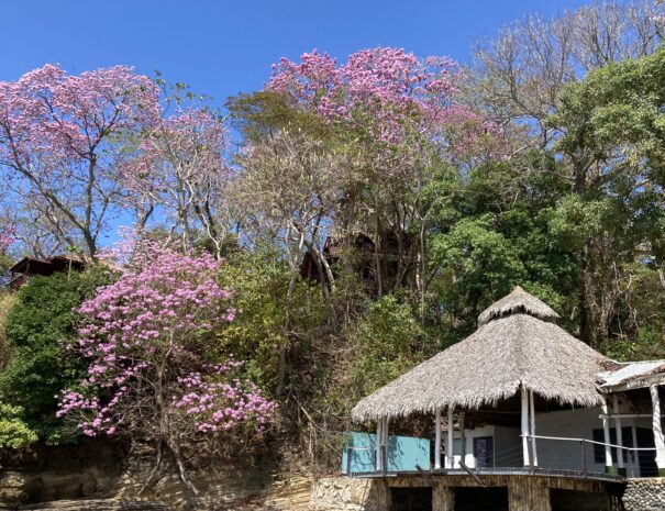 Private beachfront villa with ocean views and wraparound terrace on Saboga Island, Panama by Bannaba Stays (22)
