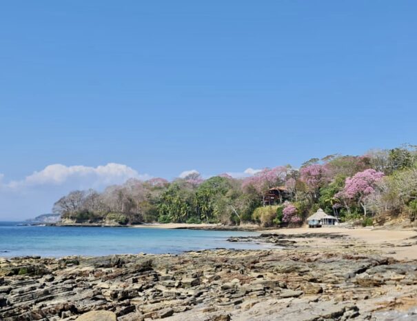 Private beachfront villa with ocean views and wraparound terrace on Saboga Island, Panama by Bannaba Stays (22)